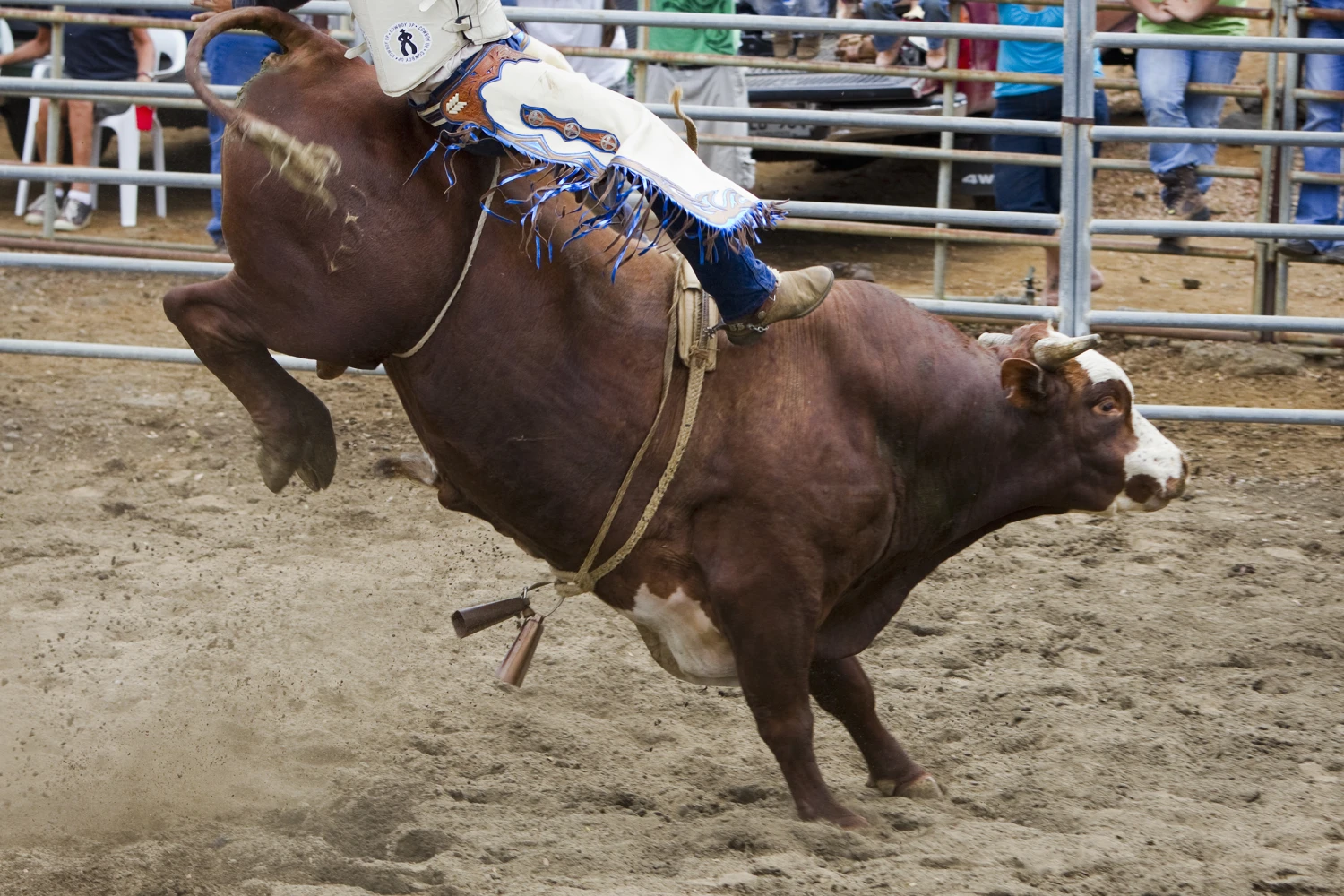 A 14-year-old kid died after suffering heart attack while riding a bull for the first time during a rodeo.