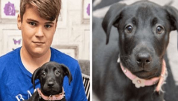 A Teen’s Heartwarming Decision to Adopt a Special Puppy