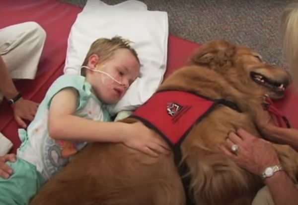 A Heartwarming Story of Recovery: How a Dog Helped a Child Awake