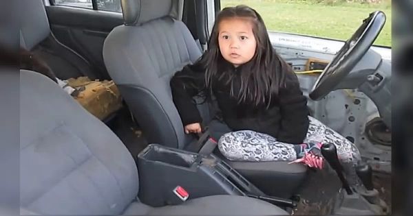 A Loyal German Shepherd Protects His Little Girl – A Heartwarming Tale