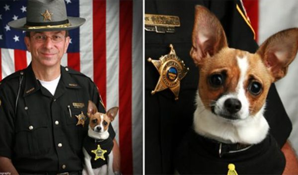 The Heartbreaking Tale of the Sheriff and His Loyal K9 Partner