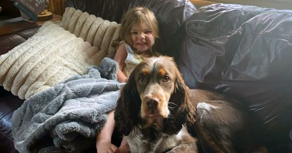 Missing 2-Year-Old Found Safe with Her Loyal Dogs by Her Side