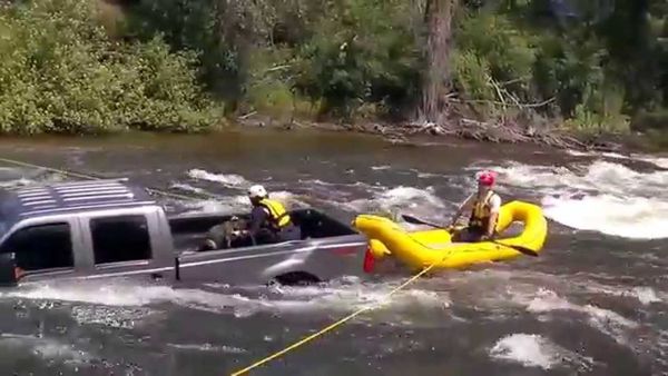 Brave Rescue Team Saves Dog Trapped in Submerged Truck