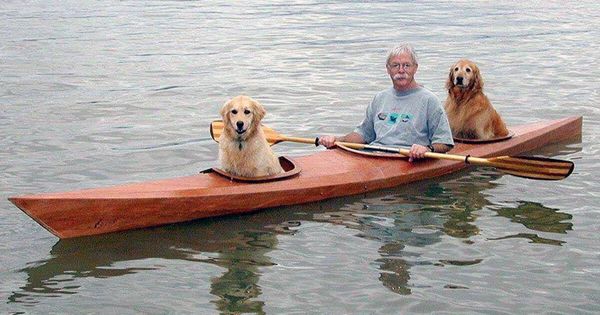 Man Builds a Customized Kayak for His Dogs