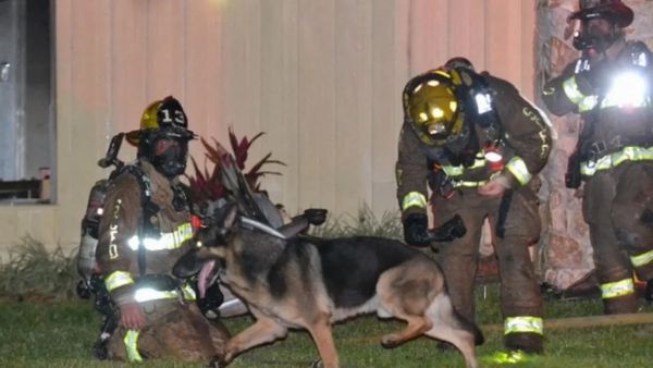 Police Dog Maxx Saves Two Kids from Burning House