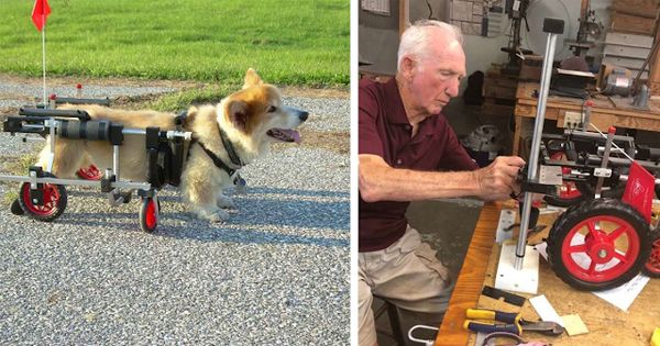 The 92-Year-Old Man Who Gives Disabled Animals a New Lease on Life