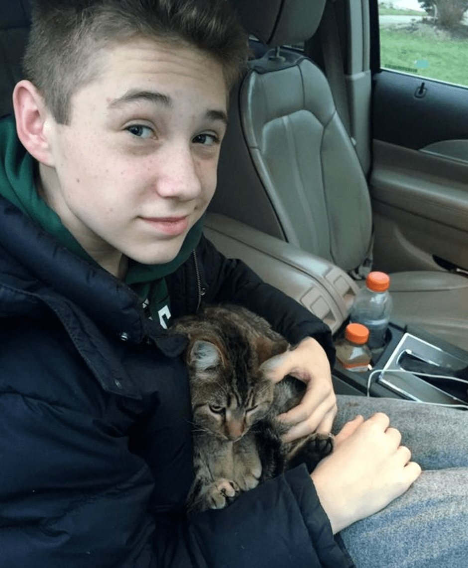 A Teenager’s Heroic Act: Saving a Cat on the Highway