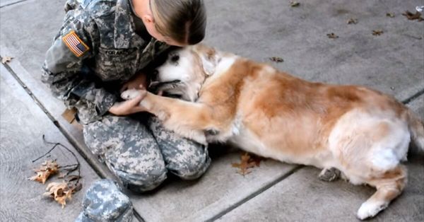 Emotional Reunion: A Loyal Dog’s Tears of Joy