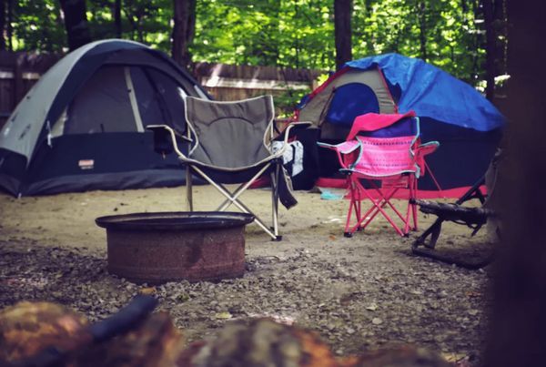 Finding a Hidden Treasure in the Forest: Justin’s Unexpected Discovery on a Family Hiking Trip