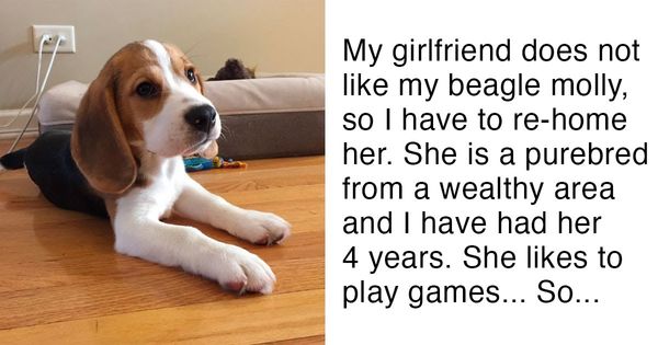 Man Faces a Difficult Decision: His Dog or His Girlfriend?