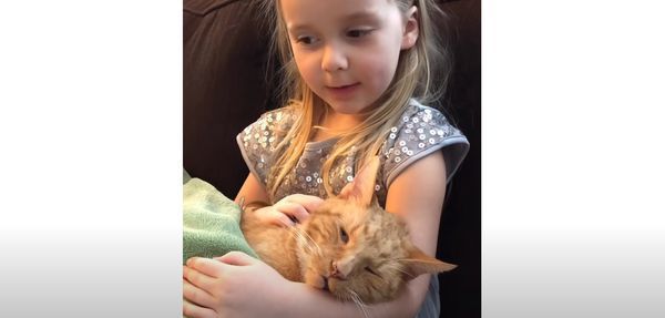 A Heartwarming Tale of Love: A Little Girl’s Touching Tribute to Her Beloved Cat