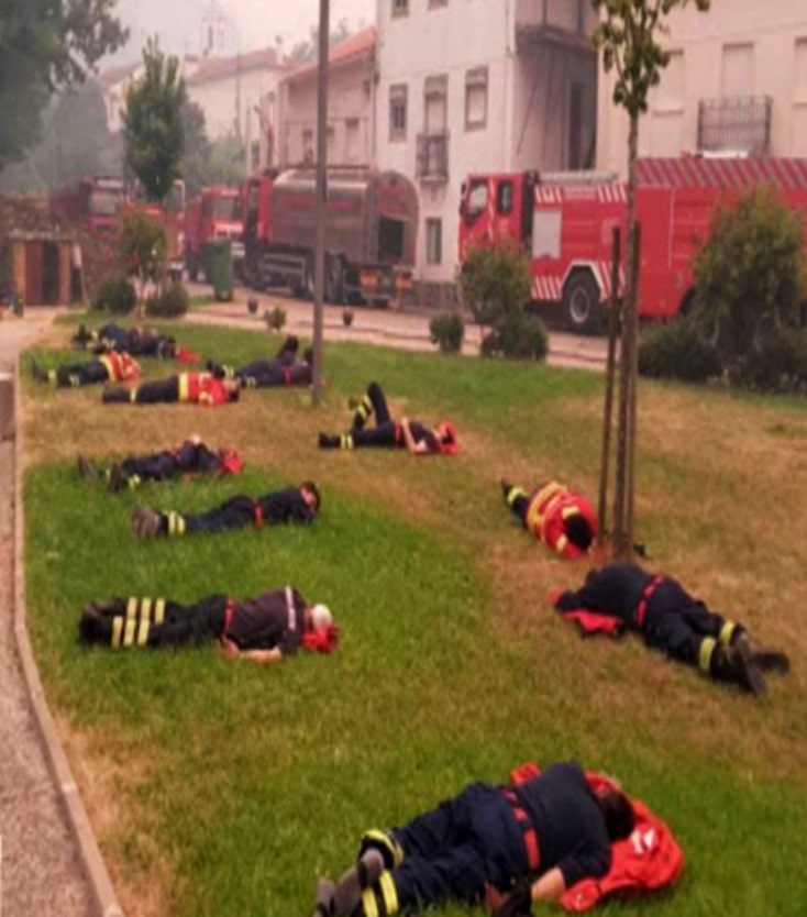 Brave Firefighters Battling Forest Fire in Portugal