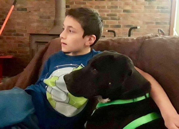 A Heroic Pit Bull Saves a Young Boy’s Life