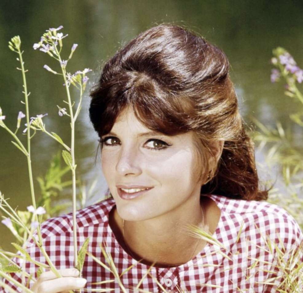 Katharine Ross: From Hollywood Bombshell to Timeless Beauty