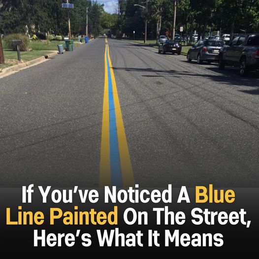 Honoring Our Police Officers with Blue Lines on the Road