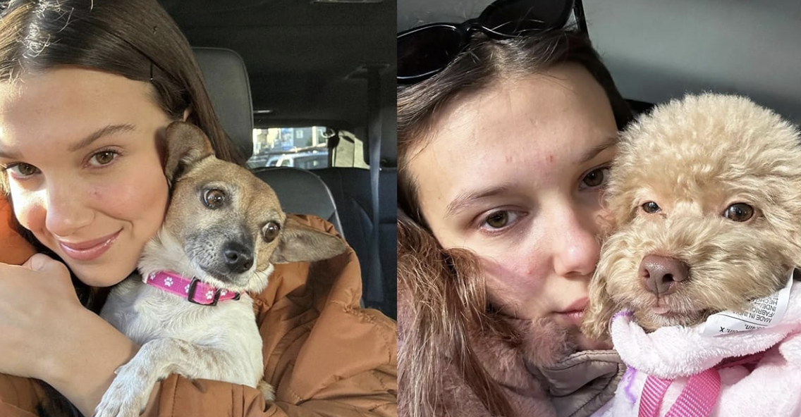 Millie Bobby Brown: The Actress with a Loving Heart for Dogs