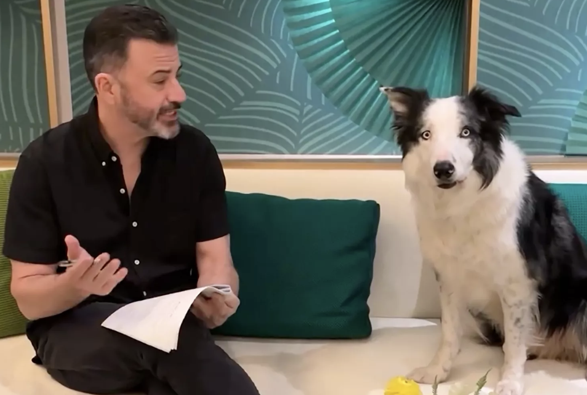 Jimmy Kimmel Celebrates the Amazing Performance of Messi, the Dog, at the Oscars