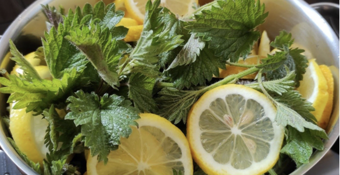 A Refreshing Twist on Wellness: Homemade Nettle and Lemon Juice