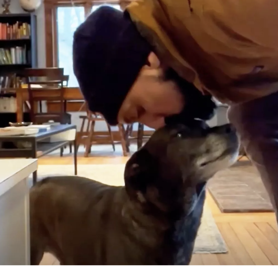 Dog Will Only Eat After Getting a Kiss on the Forehead — Watch!