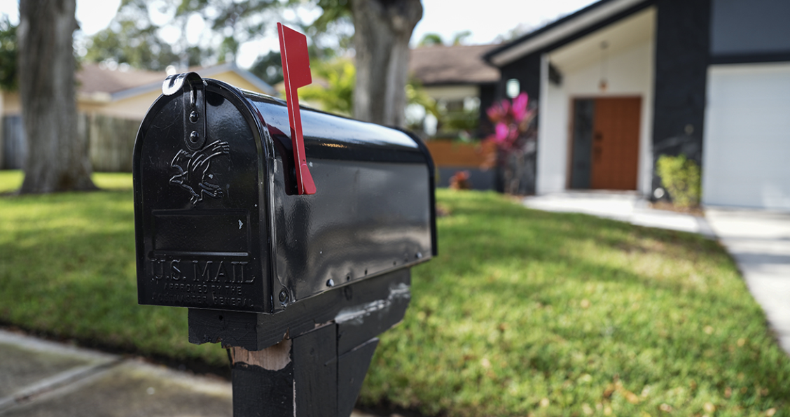 Keep Wasps Away from Your Mailbox with This Simple Hack