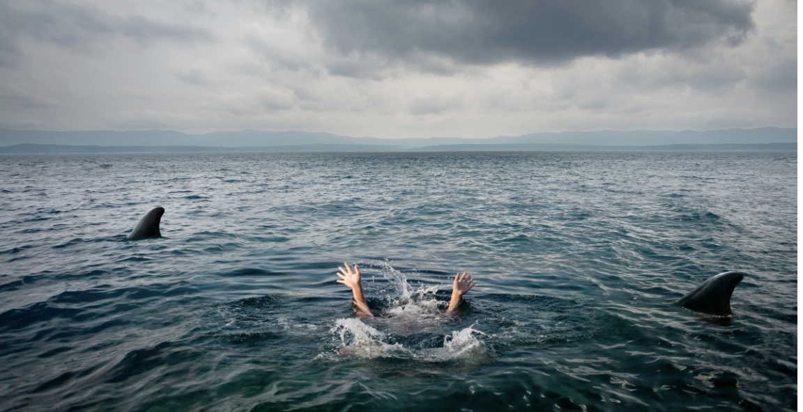 A Terrifying Shark Encounter: A Family’s Desperate Rescue Effort