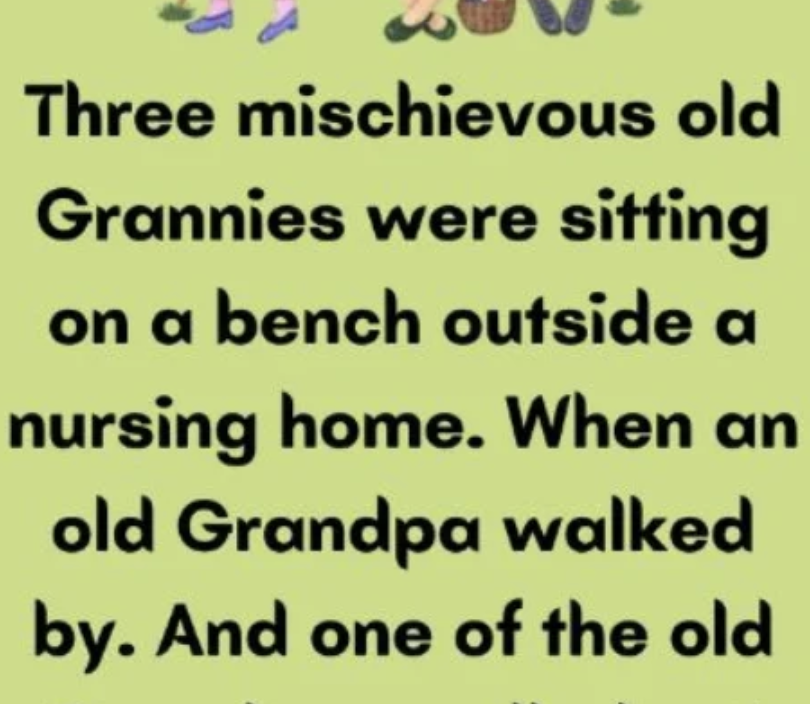 Three Mischievous Grannies at a Nursing Home Bench