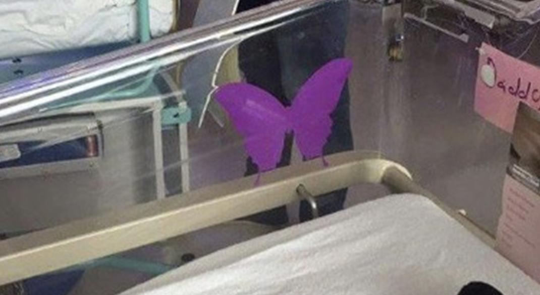 Understanding the Meaning of a Purple Butterfly Sticker