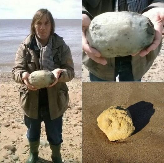 While Walking On The Beach, They Discovered Something That Other People Thought Was A Common Stone