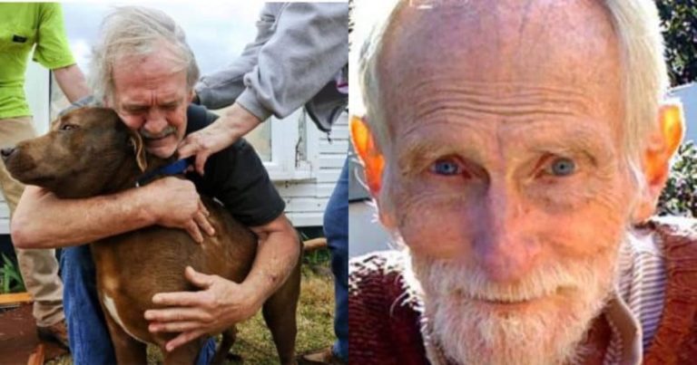 The Heartwarming Tale of an Old Man and His Devoted Dog