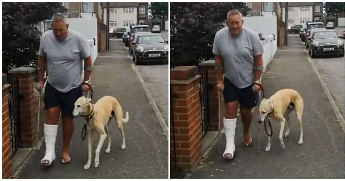 After $400 Vet Visit, Man Discovers His Dog’s Limp Was a Show of Sympathy