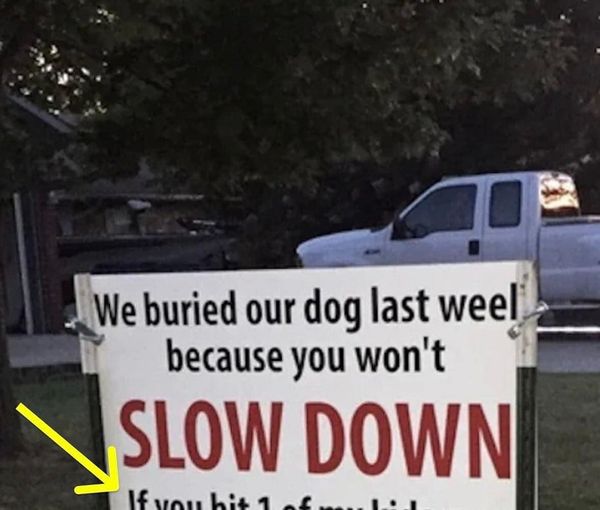 After dog gets hit by car, brutal sign has entire neighborhood talking