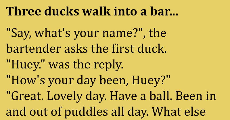 Three Ducks Walk into a Bar