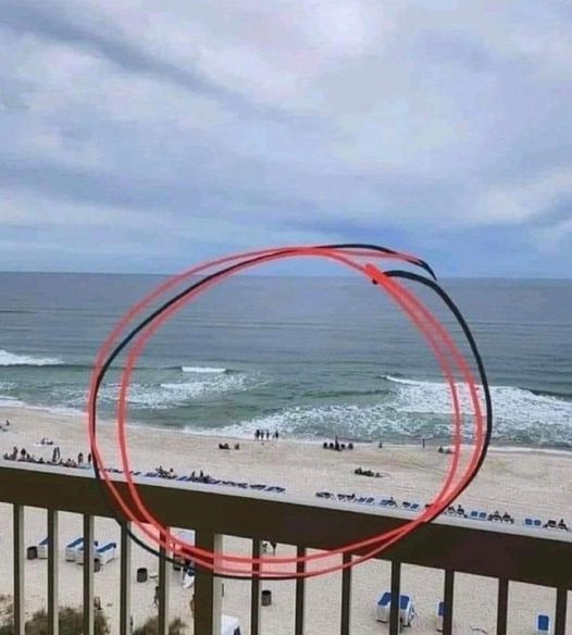 When You Go to the Beach and See a Spot with No Waves, Stay Away!