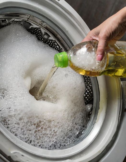 Vinegar Is the Key to Whiter Whites and Softer Towels, But Most Use It Wrong. Here’s the Right Way to Use It