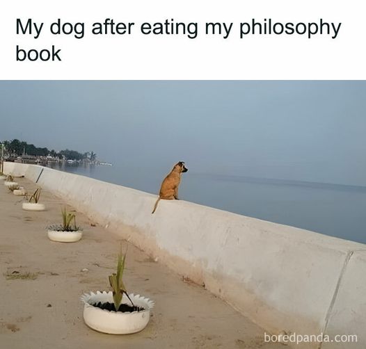 If You Are Going Through An Existential Crisis, These 50 Funny Philosophical Memes Might Help