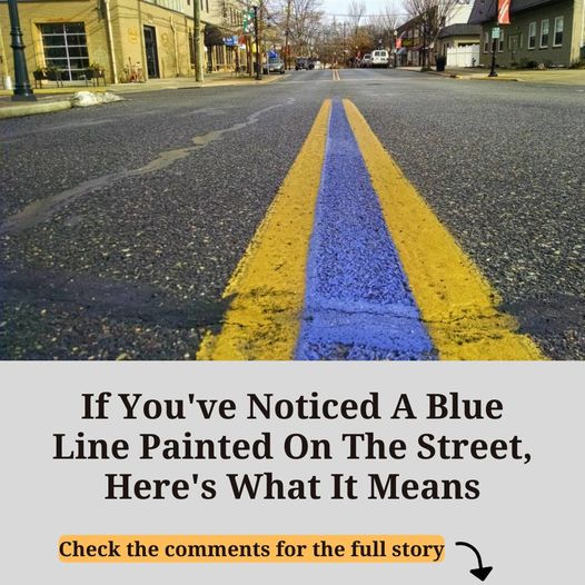 If you’ve spotted a blue line painted on the street, here’s what it signifies