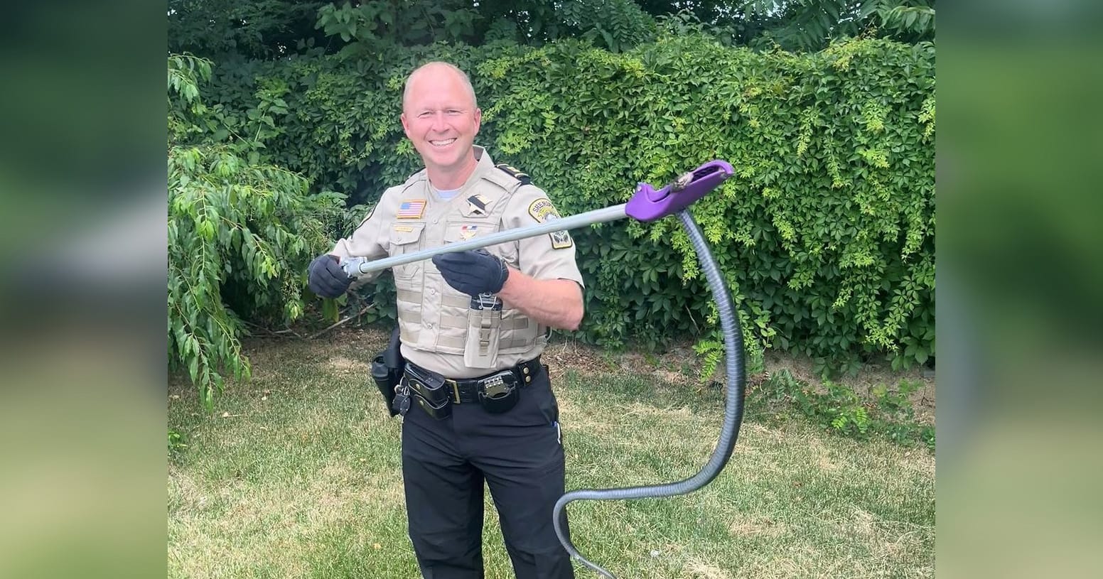 Goodwill Employee Opens Box of Donations, Unexpectedly Finds Four-Foot Snake Inside