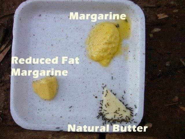 Unwrapping The Truth About Margarine