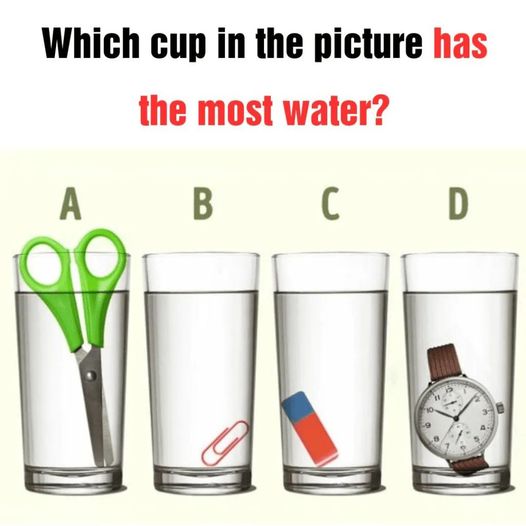 Which Glass Contains the Largest Amount of Water?