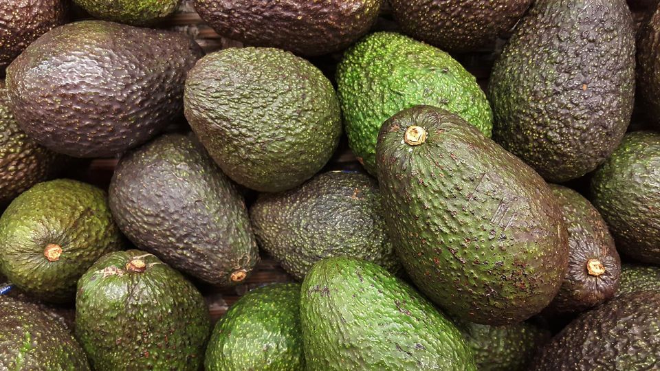 Avocado for Heart Health: Why Is Avocado So Good For You?