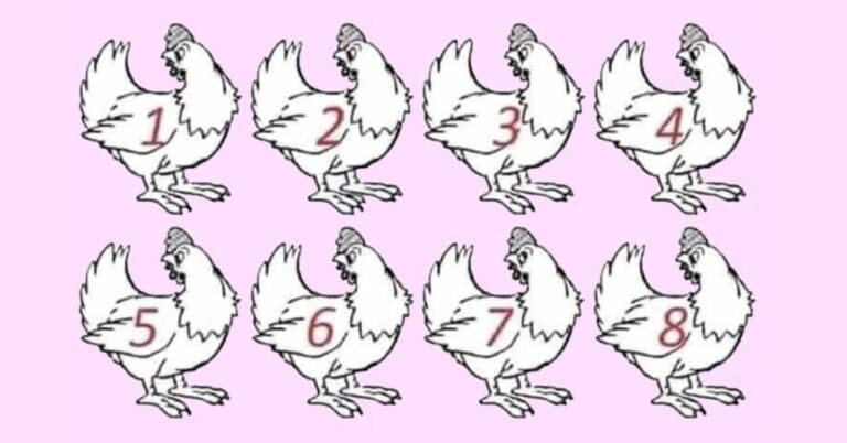 Are You a Genius? Nobody Can Determine Which Chicken Is Different