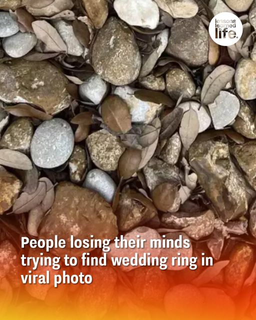 People losing their minds trying to find wedding ring in viral photo