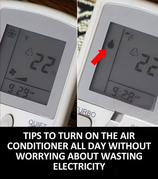 12 Tips to Keep Your Air Conditioner Running Efficiently Without Breaking the Bank