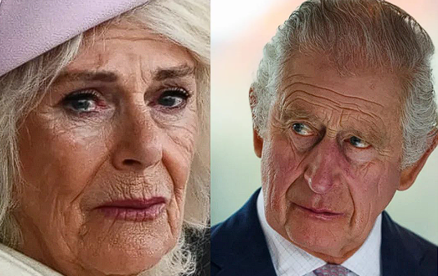 King Charles and Queen Camilla’s Chaotic Public Appearance