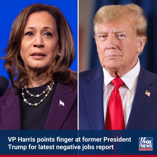 Harris Blames Trump for Latest Dreadful Jobs Report Nearly a Full Term After He Left Office