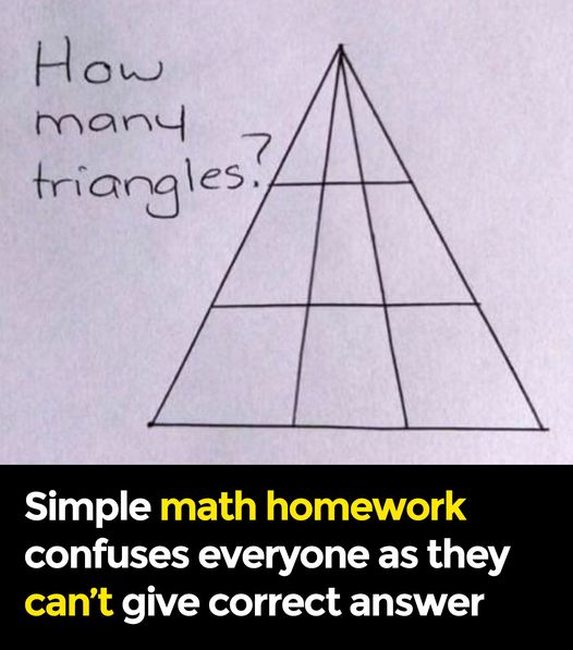 Simple Math Homework Confuses Everyone as They Can’t Give Correct Answer