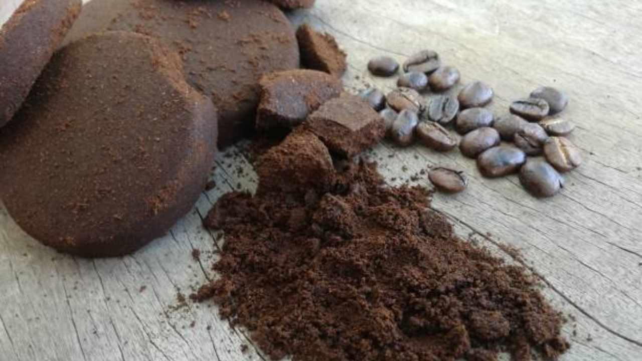 Ground Coffee: Don’t Throw It Away, Leave It in The Fridge Overnight