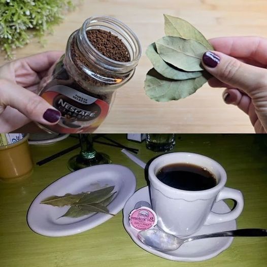 Put This In Your House And You’ll Never See Flies Or Mosquitoes Again: Coffee and Bay Leaves