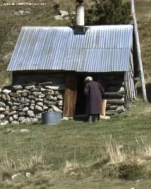 My Elderly Neighbor Visited an Old Shack Every Day at the Same Time – I Nearly Fainted When I Checked Inside One Day