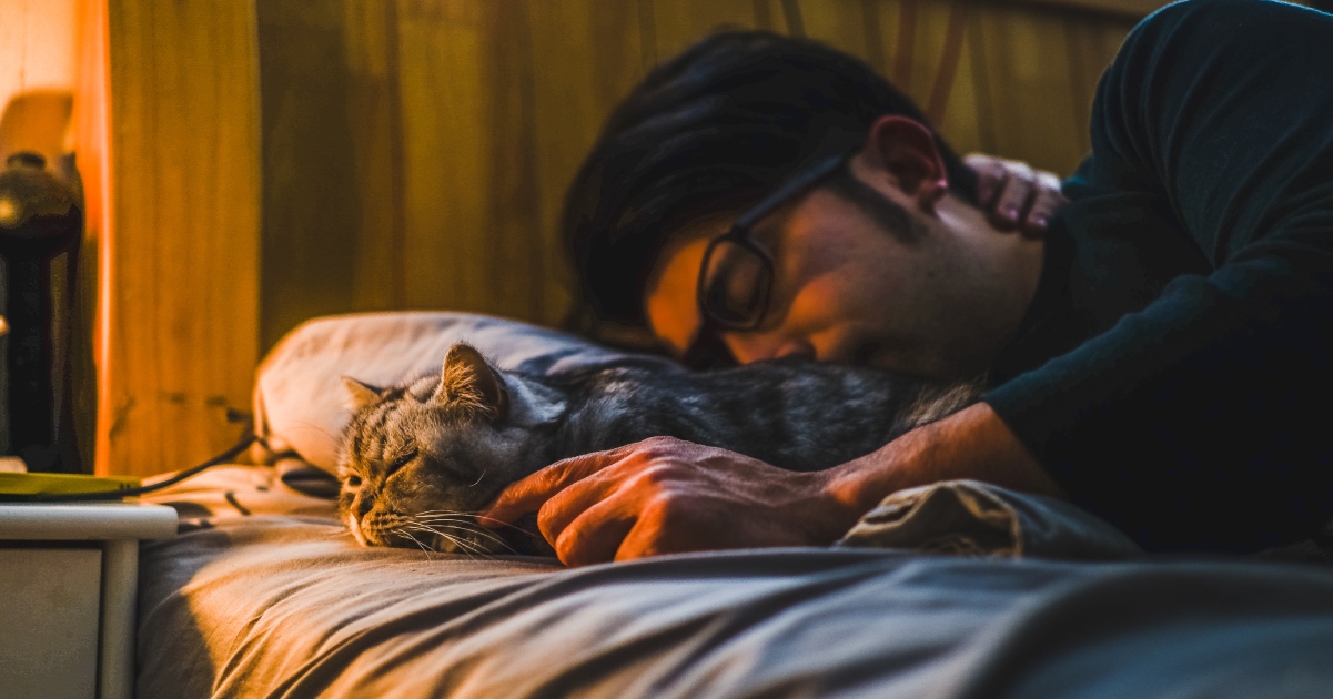 Vegan Girlfriend Demands Boyfriend Give Away Cat, Faces Ultimatum